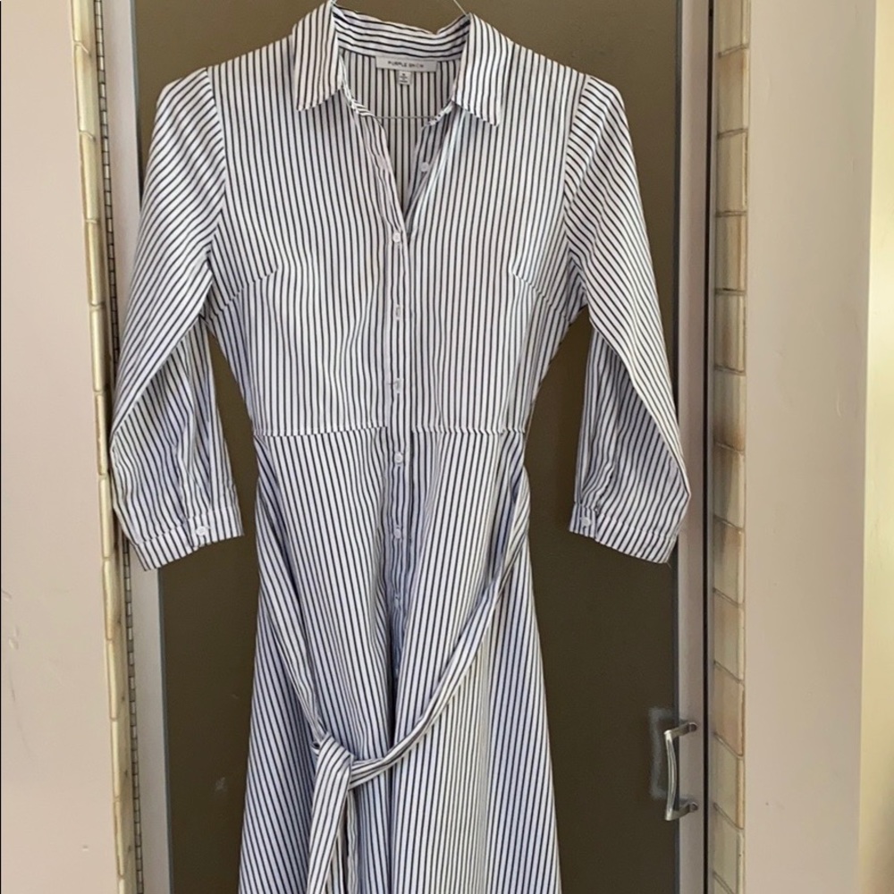 Gorgeous Purple Snow Shirt Dress